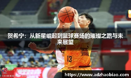 贺希宁：从新星崛起到篮球赛场的璀璨之路与未来展望